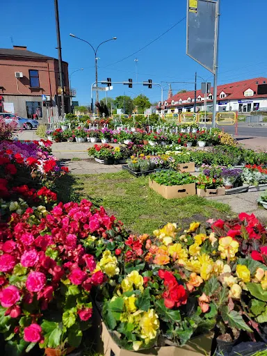 Centrum ogrodnicze Ogrodnik